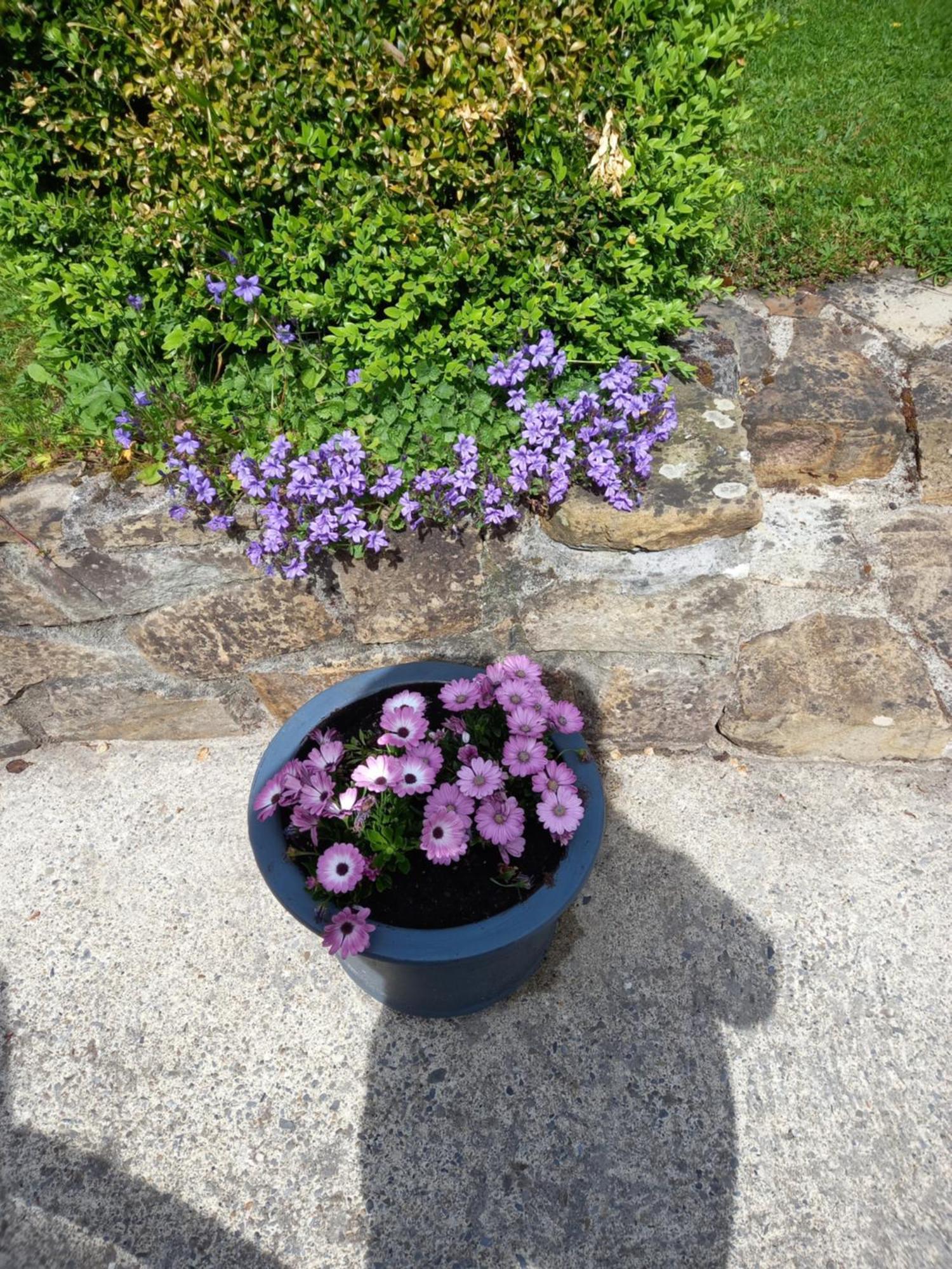 Bed and Breakfast Carraig Rua à Kilkenny Extérieur photo