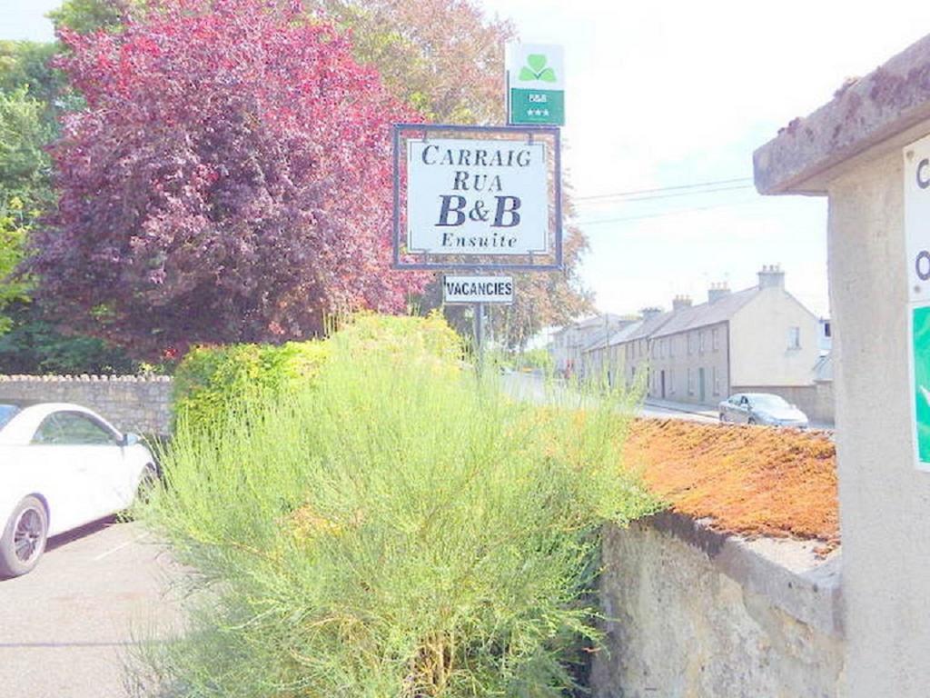 Bed and Breakfast Carraig Rua à Kilkenny Extérieur photo